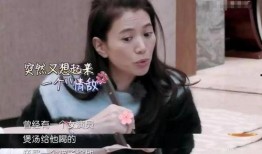 袁咏仪爆料出轨视频,真相背后引发热议